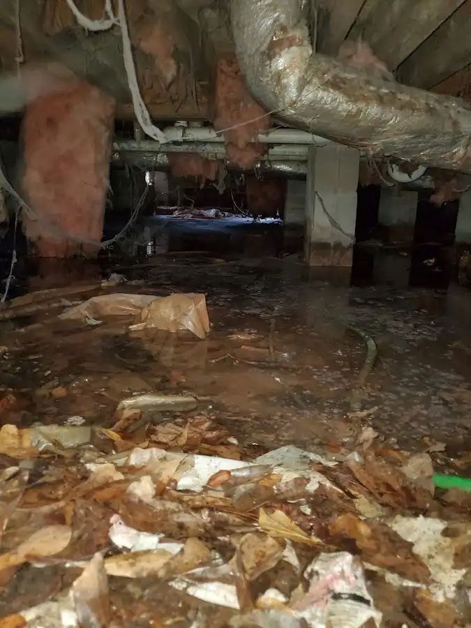 Crawl space flood assessment for Leak Detection & Repair in Brookhaven